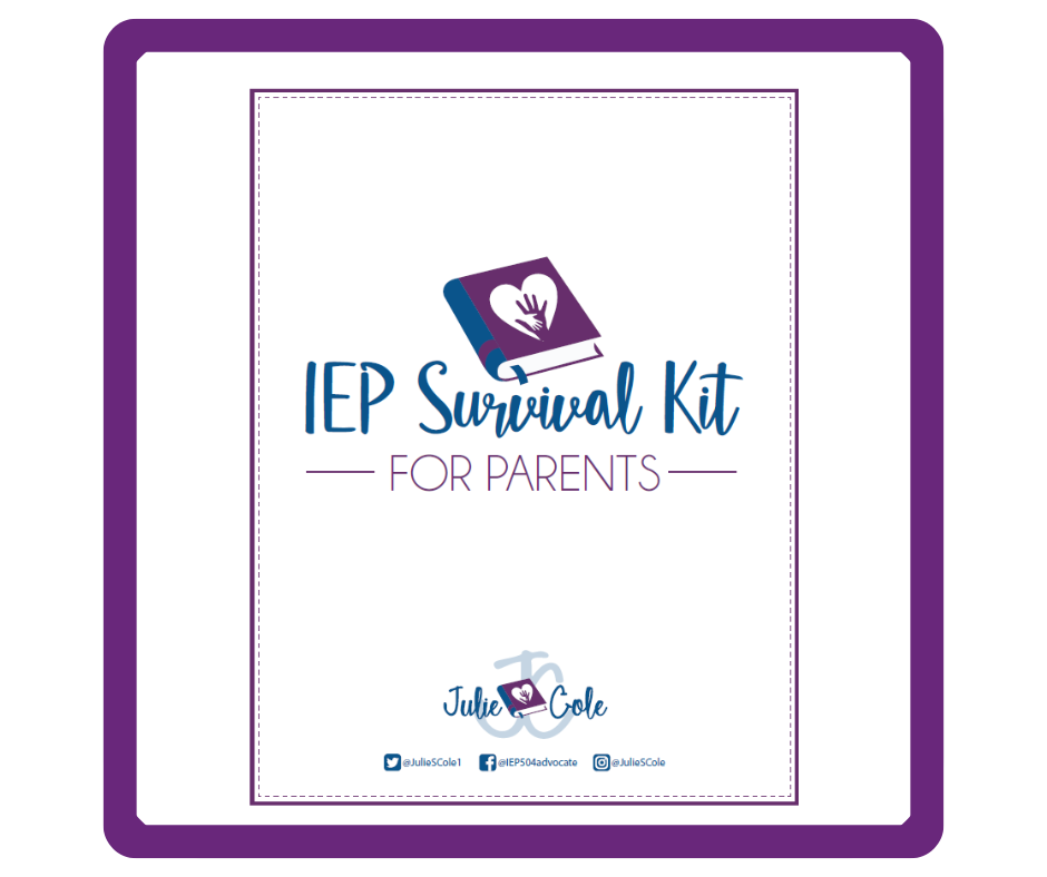 IEP Survival Guide (Digital Download)